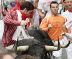 Xander running between two bulls in 2011 (Photo courtesy of Photo Auma)